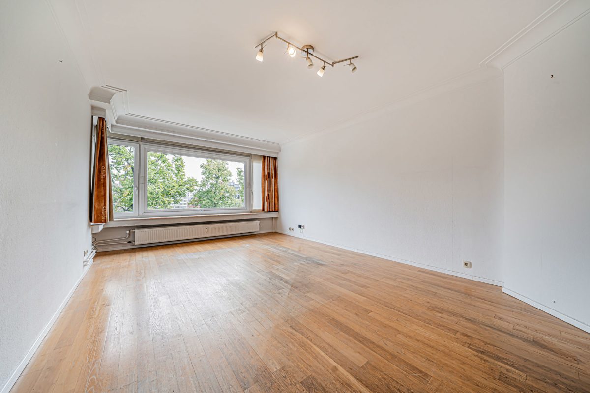 7836897_80716465.jpg